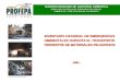 SUBPROCURADURIA DE AUDITORIA AMBIENTAL DIRECCION GENERAL DE AUDITORIA DEL RIESGO