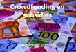 Crowdfunding  en subsidies