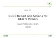 Item 11 CEOS Report and Actions for GEO-V Plenary