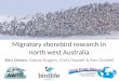 Migratory shorebird research in north west Australia
