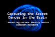 Capturing the Secret Dances in the Brain