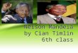 Nelson Mandela by Cian Timlin 6th class