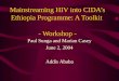Mainstreaming HIV into CIDA’s Ethiopia Programme: A Toolkit  - Workshop -