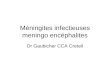 Méningites infectieuses meningo encéphalites