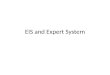 EIS and Expert System