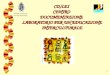 CD/LEI  CENTRO  DOCUMENTAZIONE  LABORATORIO PER UN’EDUCAZIONE INTERCULTURALE