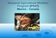 Seasonal Agricultural Workers  Program (PTAT) Mexico  - Canada