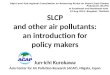SLCP and other air pollutants: an introduction for policy makers