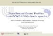 Recalibrated Ozone Profiles  from GOME-UV/Vis Nadir spectra