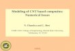 Modeling of CNT based composites: Numerical Issues N. Chandra and C. Shet