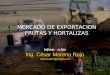 MERCADO DE EXPORTACION FRUTAS Y HORTALIZAS