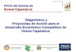 Diagnóstico y Propuestas de Acción para el Desarrollo Económico Competitivo de Nueva Cajamarca
