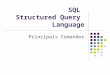 SQL   Structured Query  Language