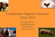 Comparative Digestive Systems Topic 3024