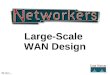 Large-Scale  WAN Design