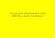 Corporate Governance and Entity-Level Controls