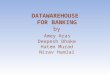 DATAWAREHOUSE  FOR BANKING by Amey Aras  Deepesh Dhake  Hatem Murad  Nirav Hamlai