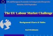 The European Challenge mobilise labour supply AND increase productivity growth