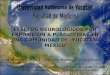 EFECTOS NEUROLOGICOS POR EXPOSICION A PLAGUICIDAS EN UNA COMUNIDAD DE, YUCATÁN, MEXICO