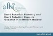 Short Rotation Forestry and  Short Rotation Coppice  research in Northern Ireland