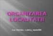 Organizarea  localitatii