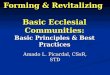 Forming & Revitalizing   Basic Ecclesial Communities: Basic Principles & Best Practices
