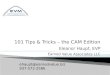 101 Tips & Tricks – the CAM Edition Eleanor Haupt, EVP Earned Value Associates LLC