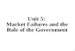 Unit 5:  Market Failures and the Role of the Government