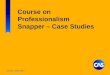 Course on Professionalism Snapper – Case Studies