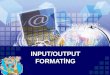 INPUT/OUTPUT FORMATİNG