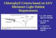 Chlorophyll Criteria based on SAV Minimum Light Habitat Requirements