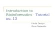 Introduction to Bioinformatics -  Tutorial no. 13