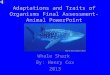 Adaptations and Traits of Organisms Final Assessment-Animal PowerPoint