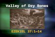 Valley of Dry Bones