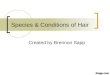Species & Conditions of Hair