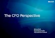 The CFO Perspective