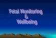 Fetal Monitoring  & Wellbeing