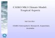 CSIRO Mk3 Climate Model:  Tropical Aspects