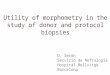 Utility of morphometry in the study of donor and protocol biopsies