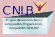 O que devemos fazer enquanto Organismo, enquanto CNLB?