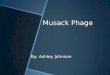 Musack  Phage