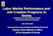 Labor Market Performance and Job Creation Programs in Serbia