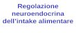 Regolazione neuroendocrina dell’intake alimentare
