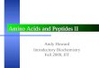 Amino Acids and Peptides II