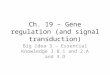 Ch. 19 – Gene regulation (and signal transduction)