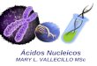 Ácidos Nucleicos MARY L. VALLECILLO MSc