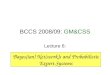 BCCS 2008/09:  GM&CSS