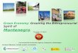 Green Economy:  Greening the Entrepreneurial Spirit of     Montenegro