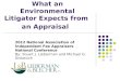 What an Environmental Litigator Expects from  an Appraisal