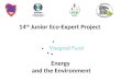 14 th  Junior Eco-Expert Project  Energy  and the Environment